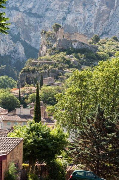 La Figuiere Fontaine De Vaucluse Bed & Breakfast Bagian luar foto