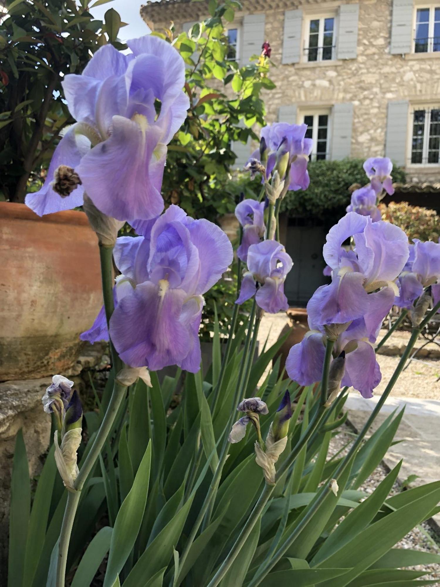 La Figuiere Fontaine De Vaucluse Bed & Breakfast Bagian luar foto