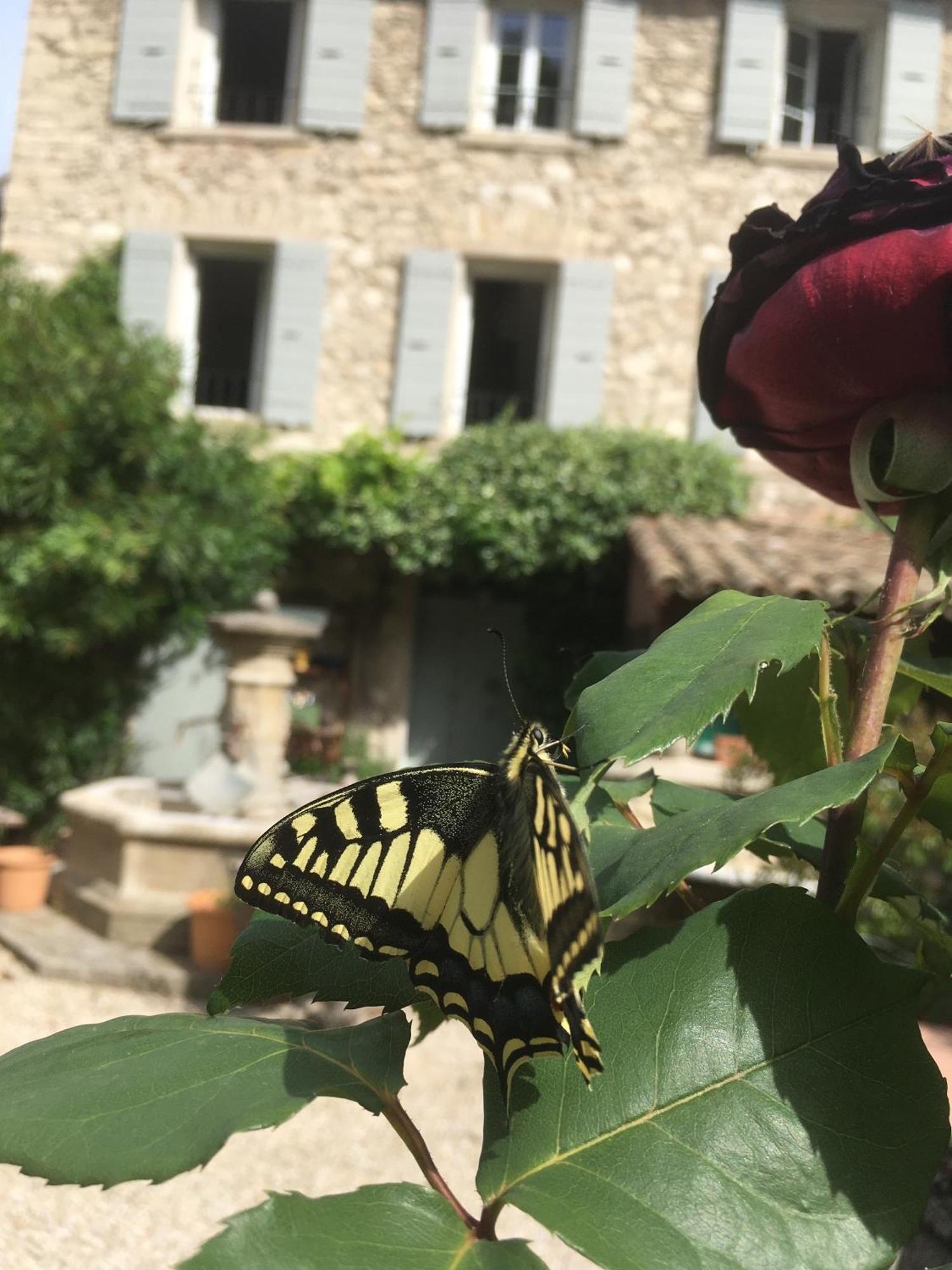 La Figuiere Fontaine De Vaucluse Bed & Breakfast Bagian luar foto